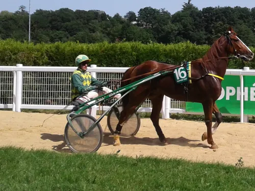 Hippisme : nos préférés pour ce samedi 18 décembre